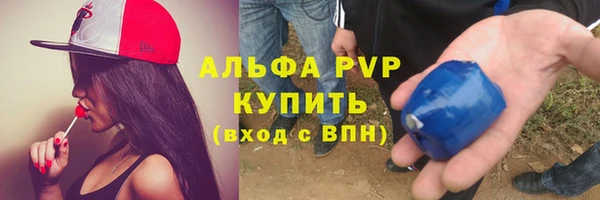 индика Аркадак
