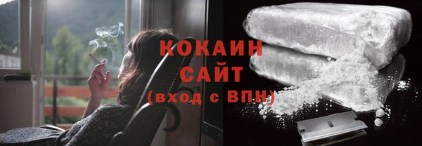 индика Аркадак