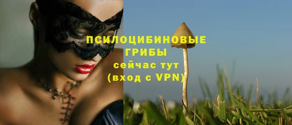 индика Аркадак