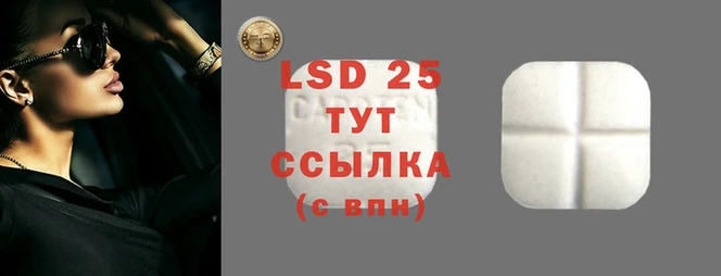 индика Аркадак