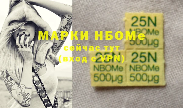 индика Аркадак