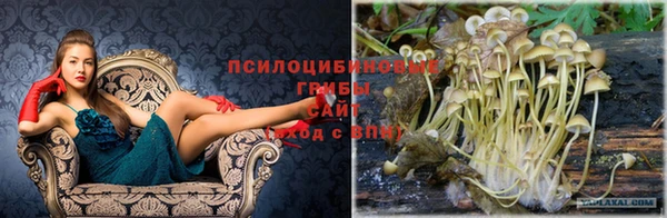 кокаин колумбия Армянск